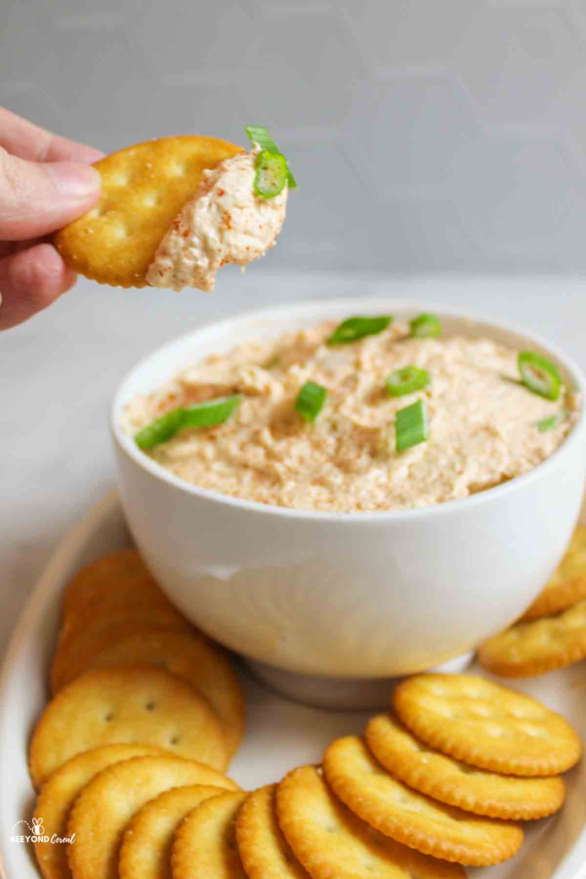 a hand holding up a cracker with trout dip on it.