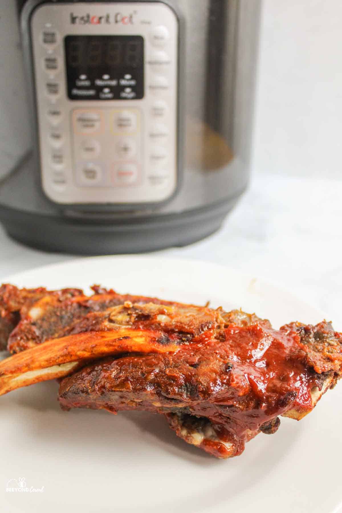 instant pot behind beef ribs.