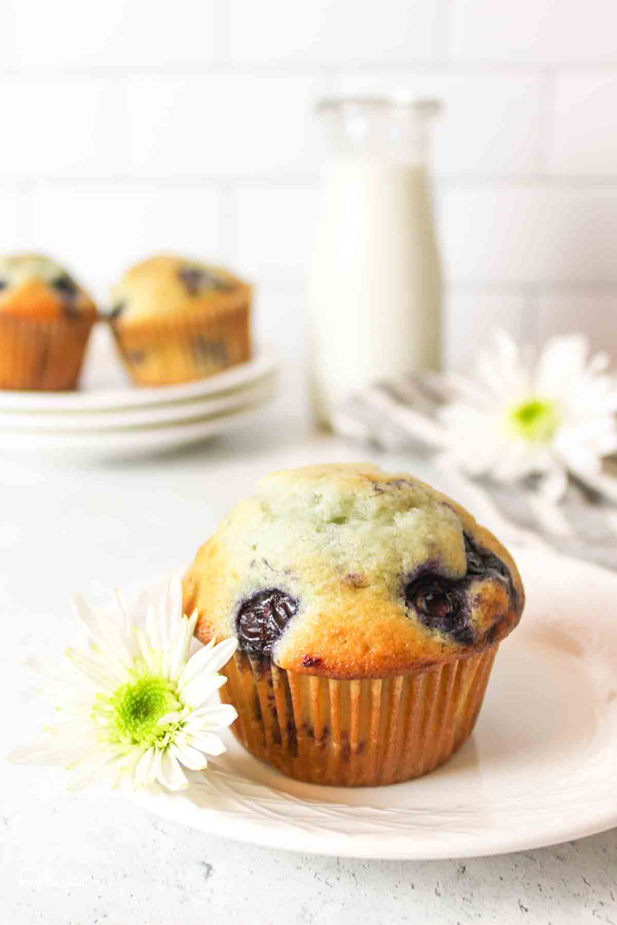 a blueberry muffin on a plate with a white flower.