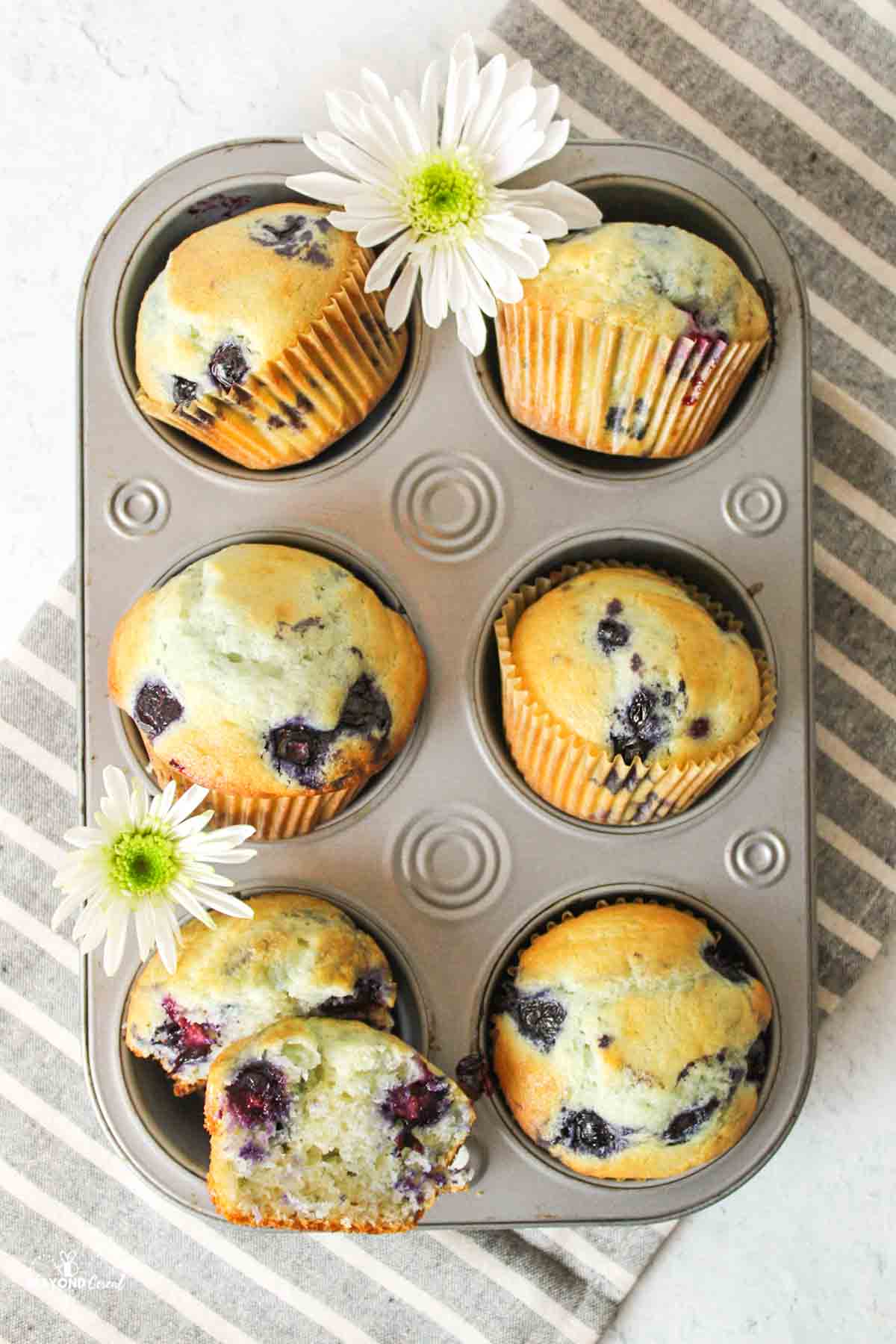 blueberry muffins in a muffin pan turned at different angles