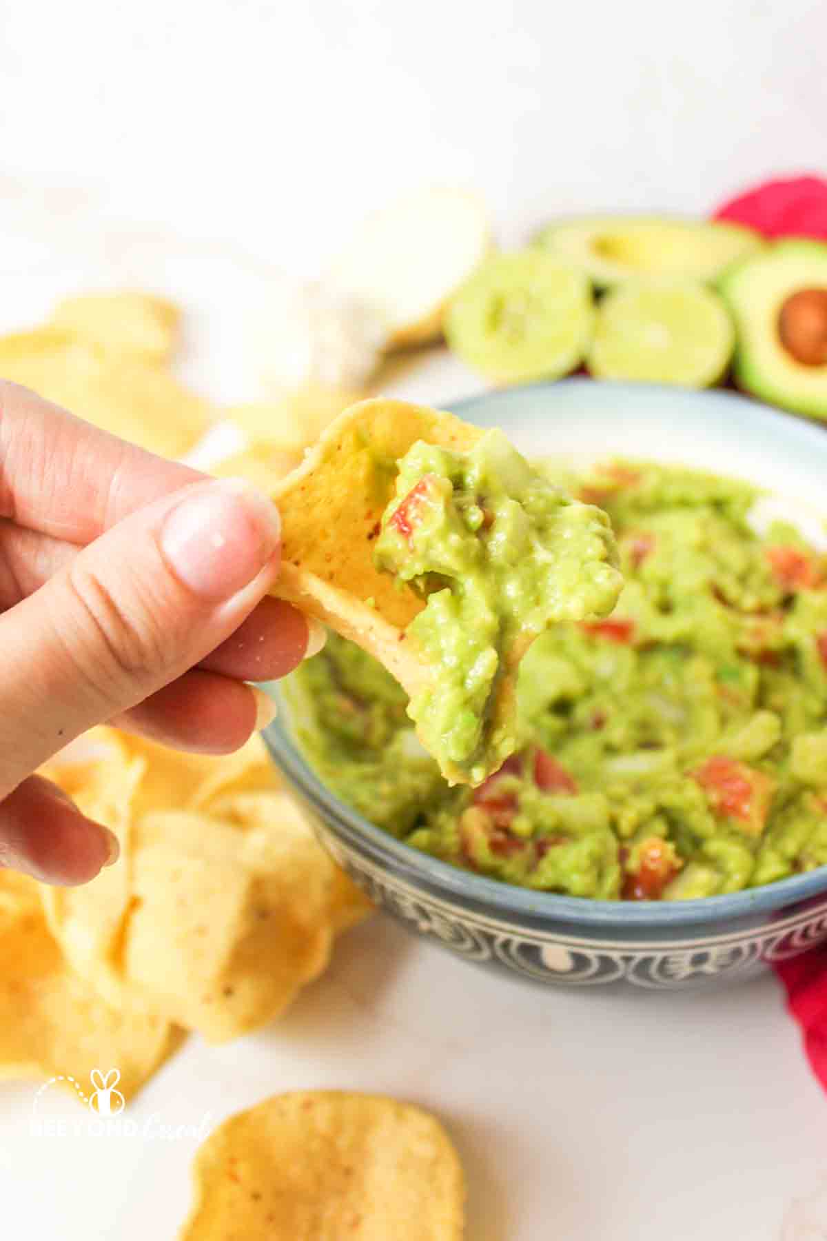 a hand holding up a tortilla chip with a scoop of guacamole on it