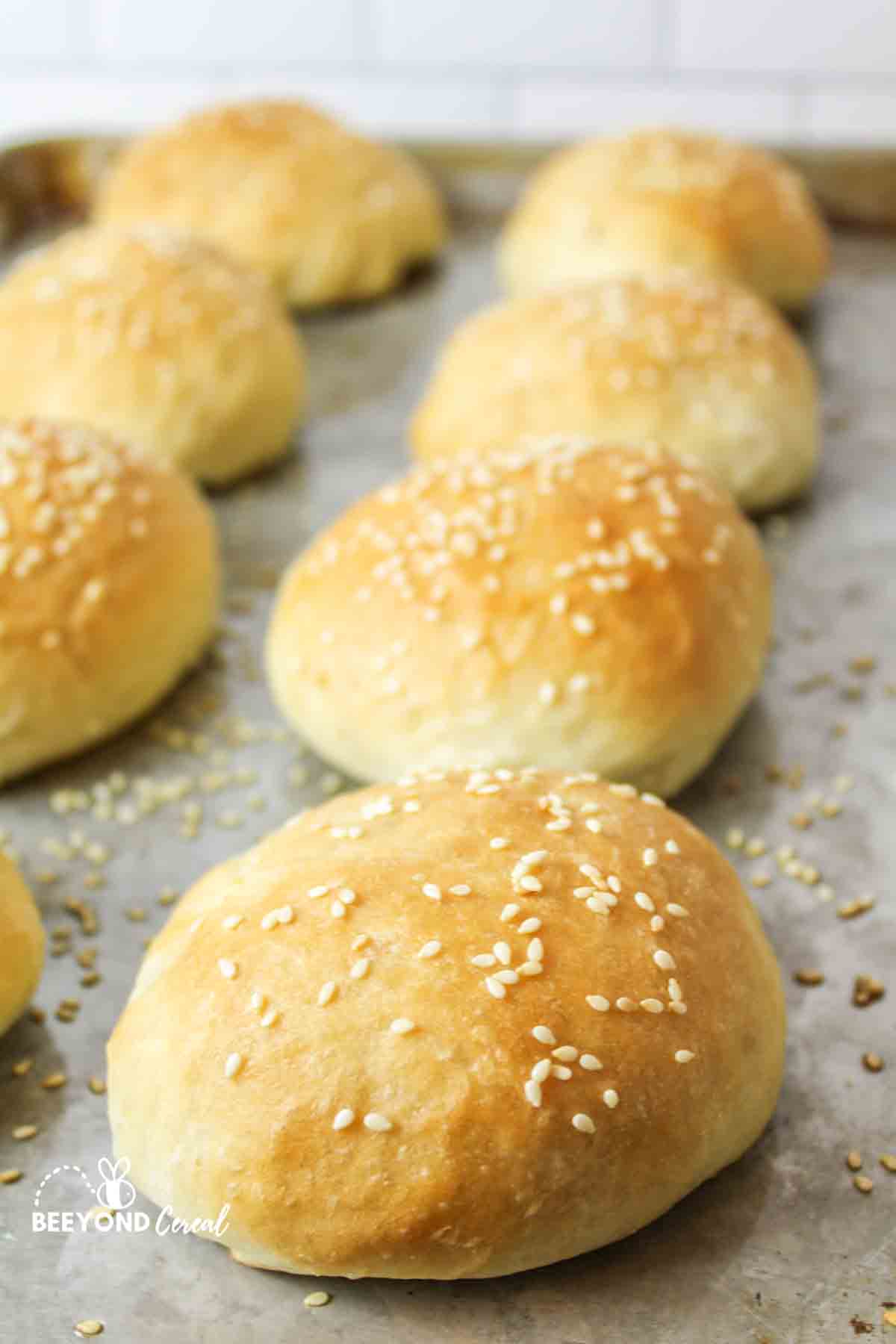 burger buns topped with sesame seeds on a baking sheet