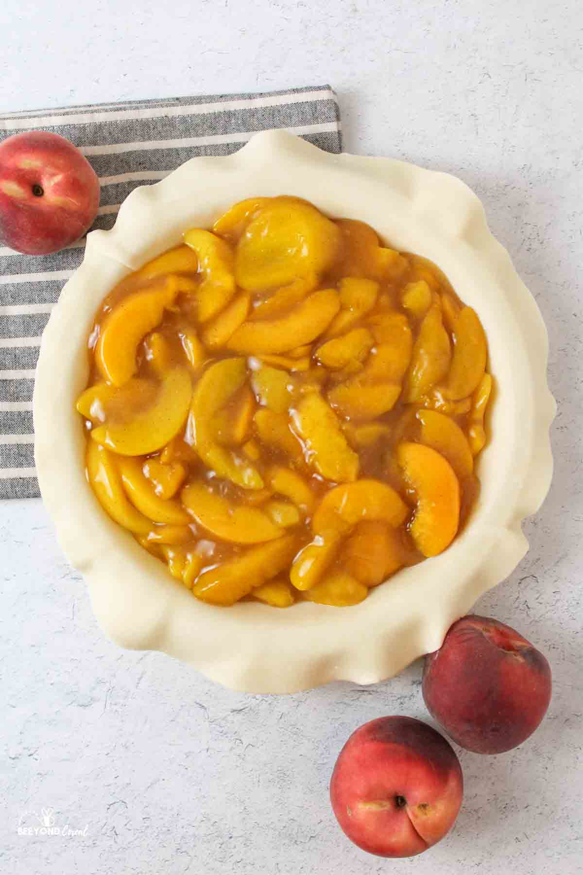 peach pie without a top and fresh peaches to the sides.