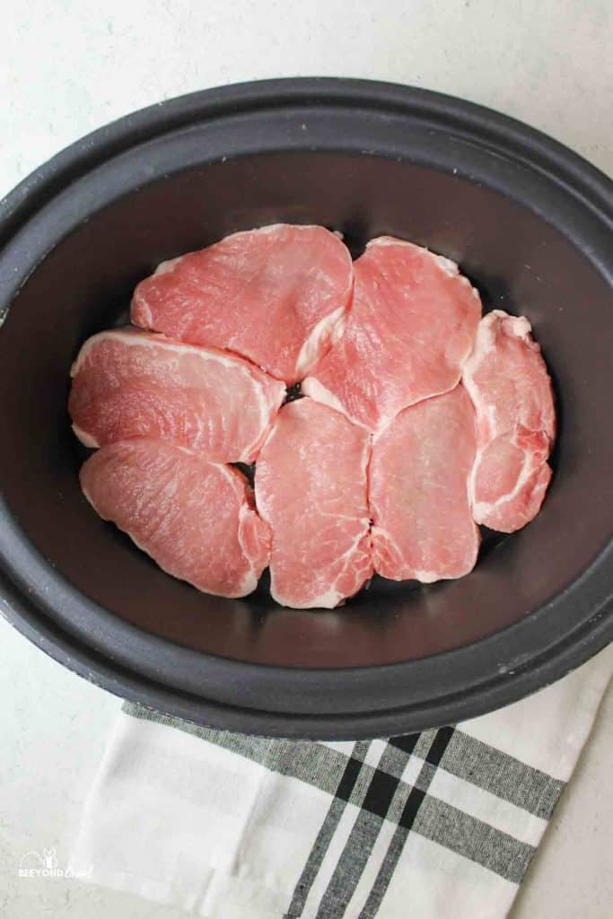 aerial view of crockpot filled with raw porkchops