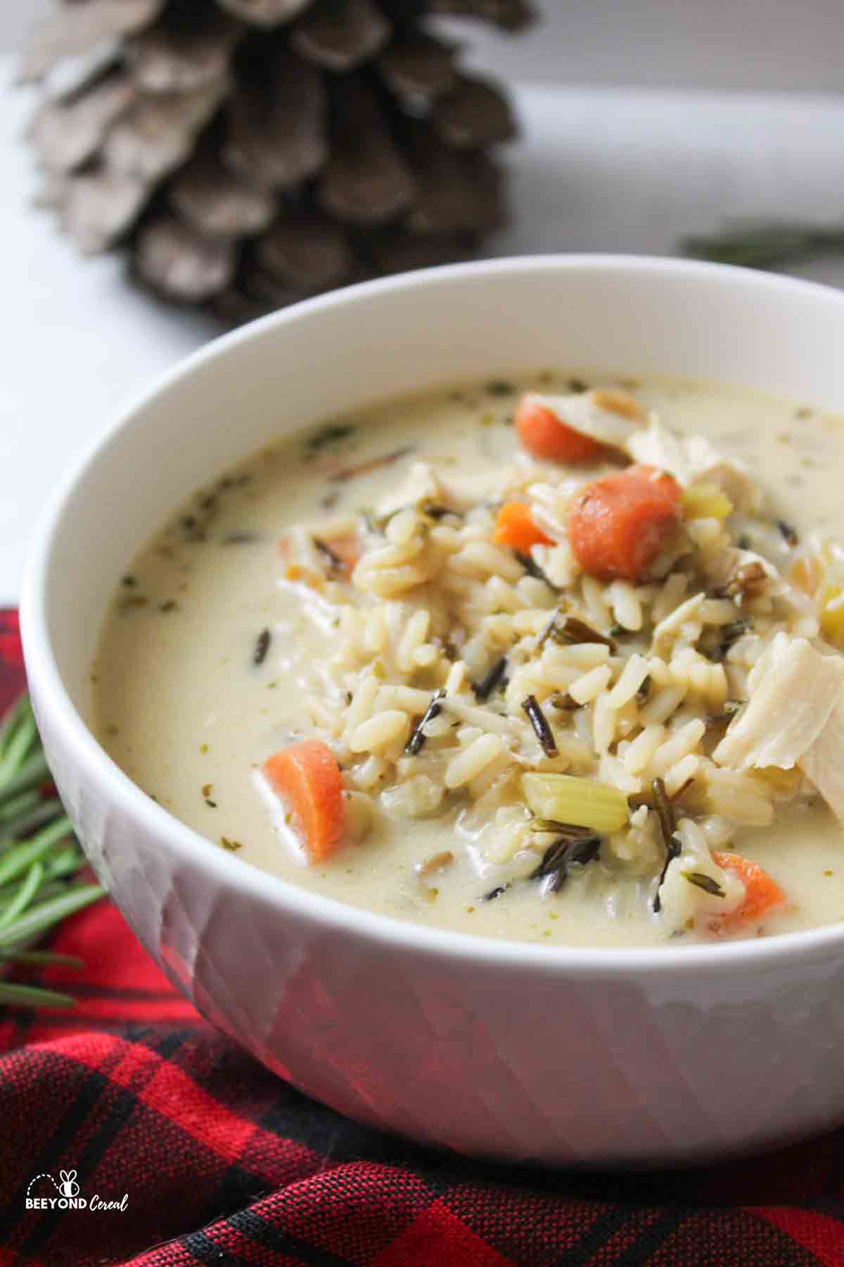 a bowl of turkey wild rice soup with carrots and celery.