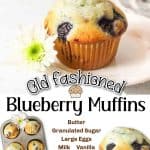 promotional graphic for this recipe old fashioned blueberry muffins