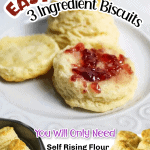 promotional graphic for easy 3 ingredient biscuits