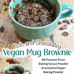 promotional graphic for rich and chocolatey vegan mug brownie