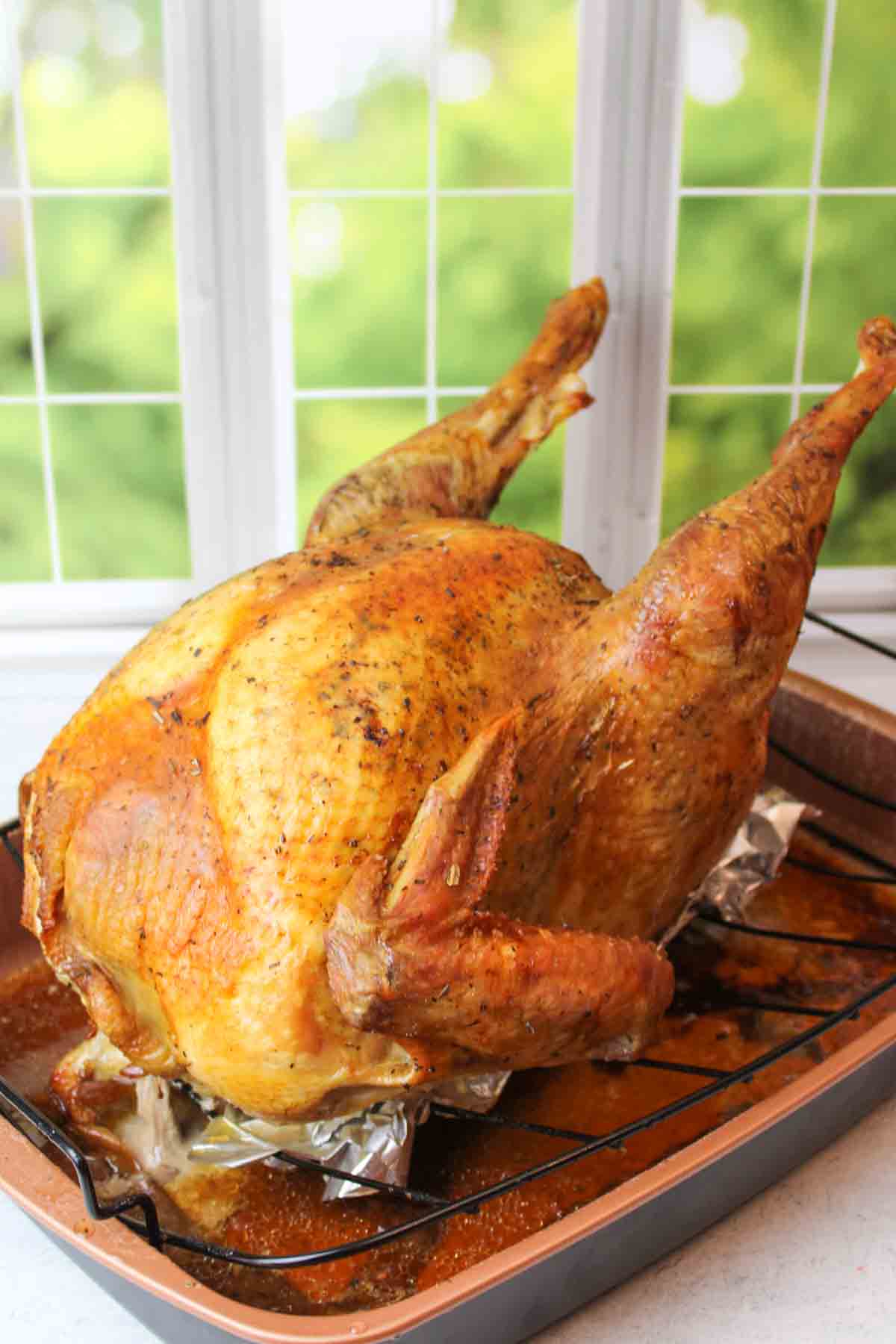 roasted turkey in a roasting pan in front of a window.