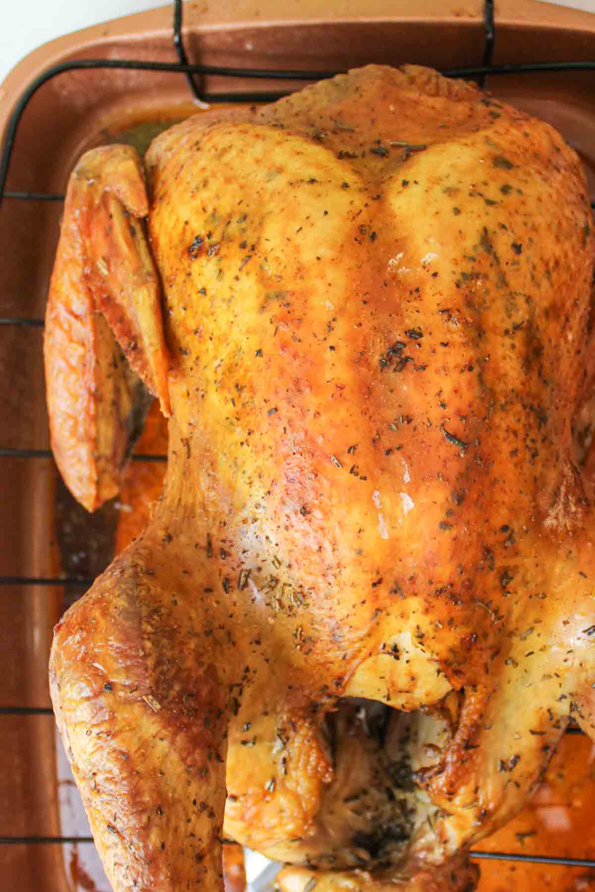 close aerial view of half of a dry brine roasted turkey in a roasting pan