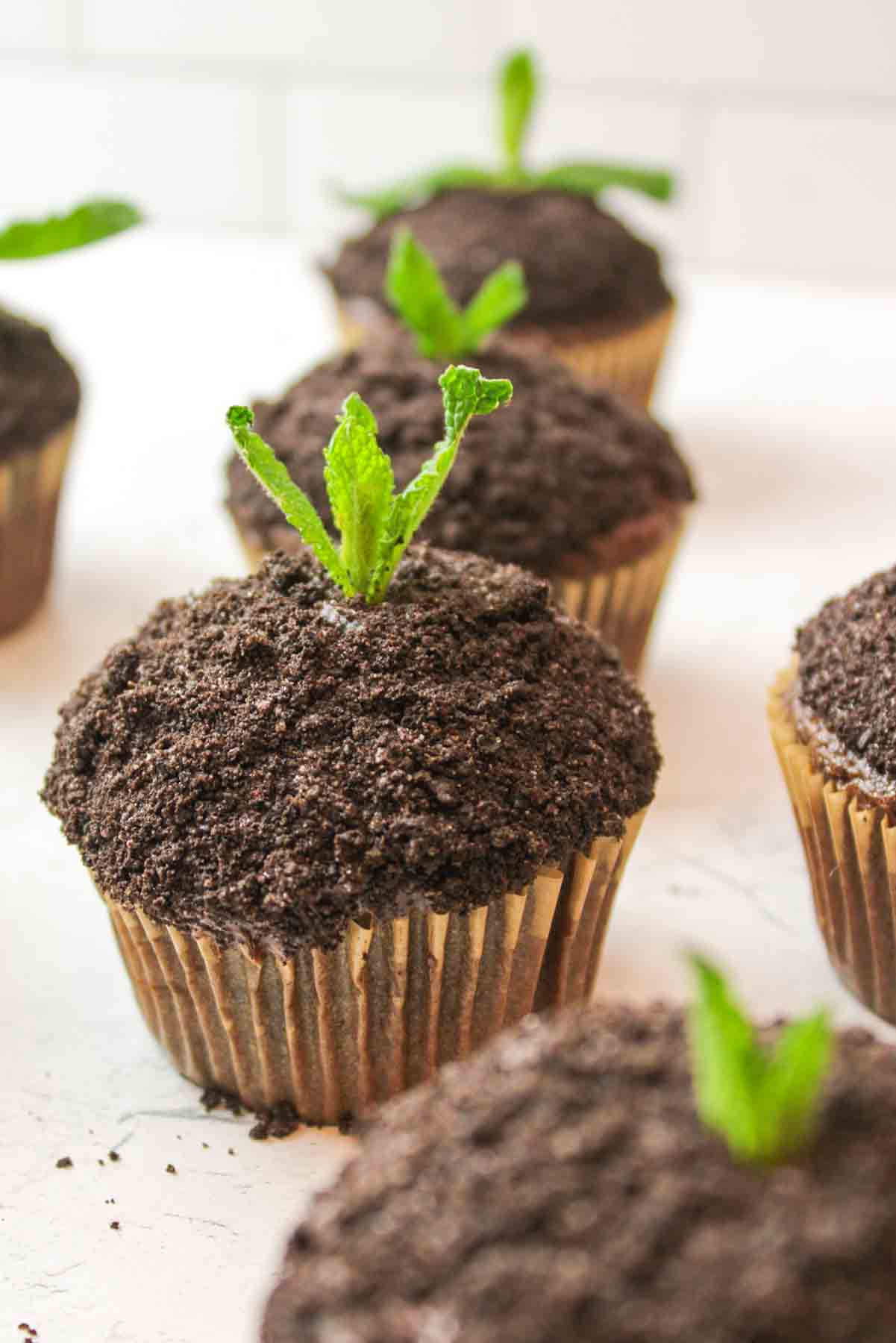 one in focus plant cupcake with dirt cookie crumbs.