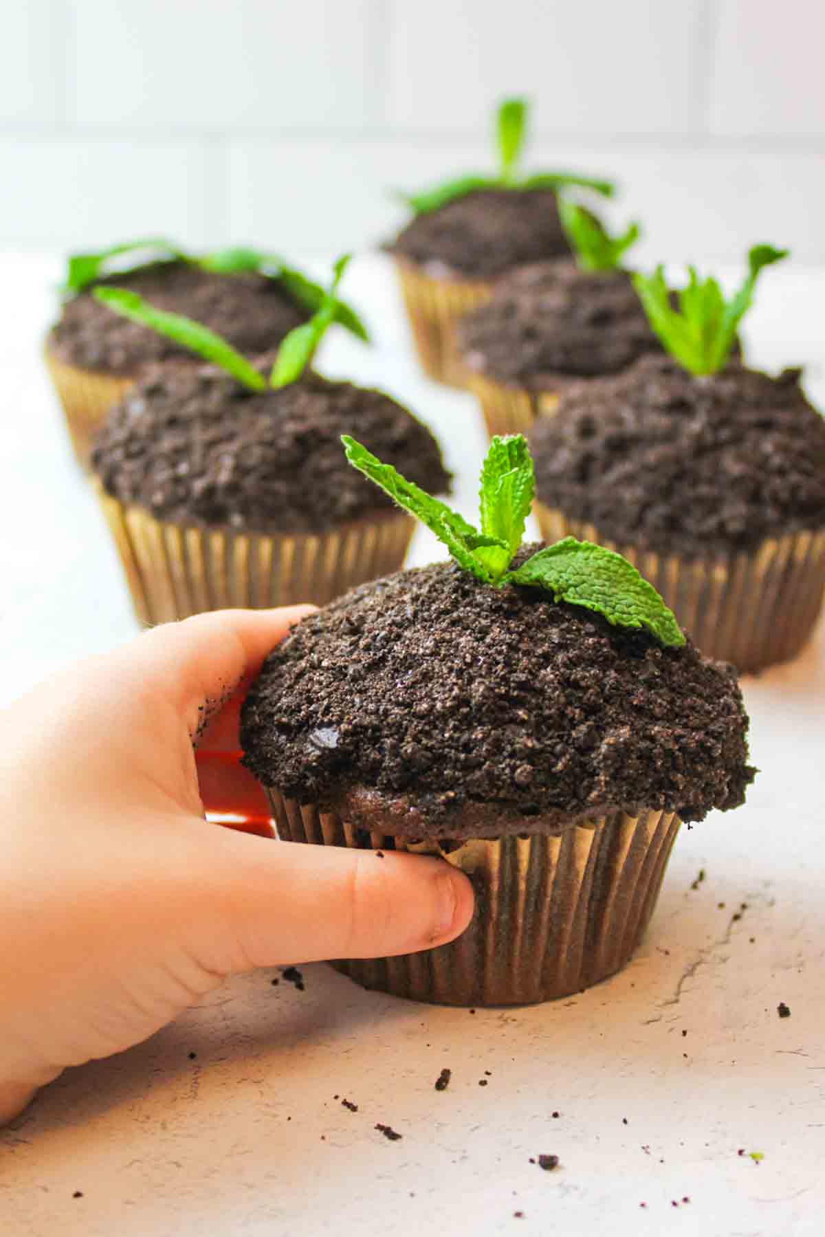 a tiny child hand reaching for an earth day cupcake
