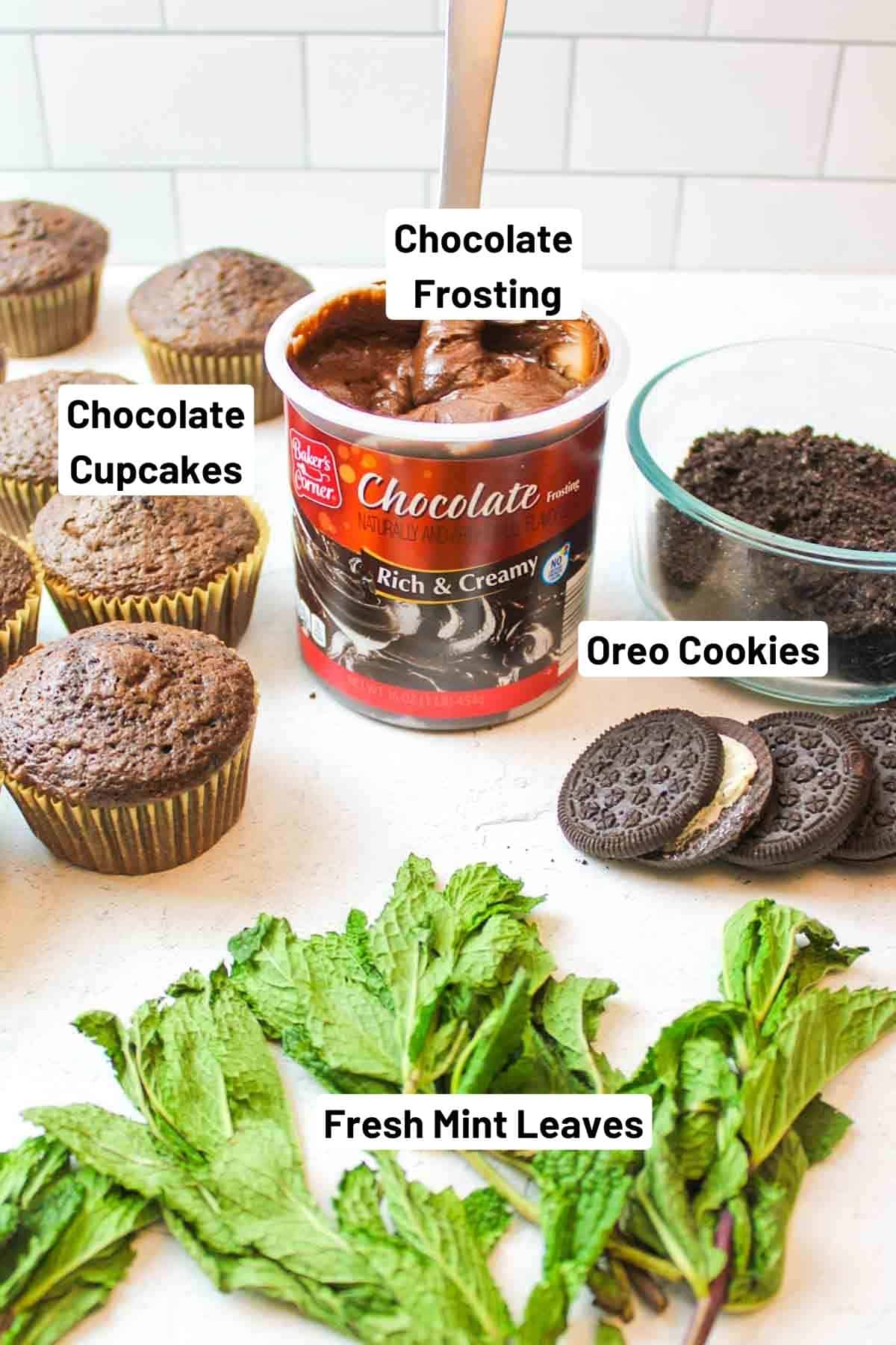 ingredients needed for earth day cupcakes.