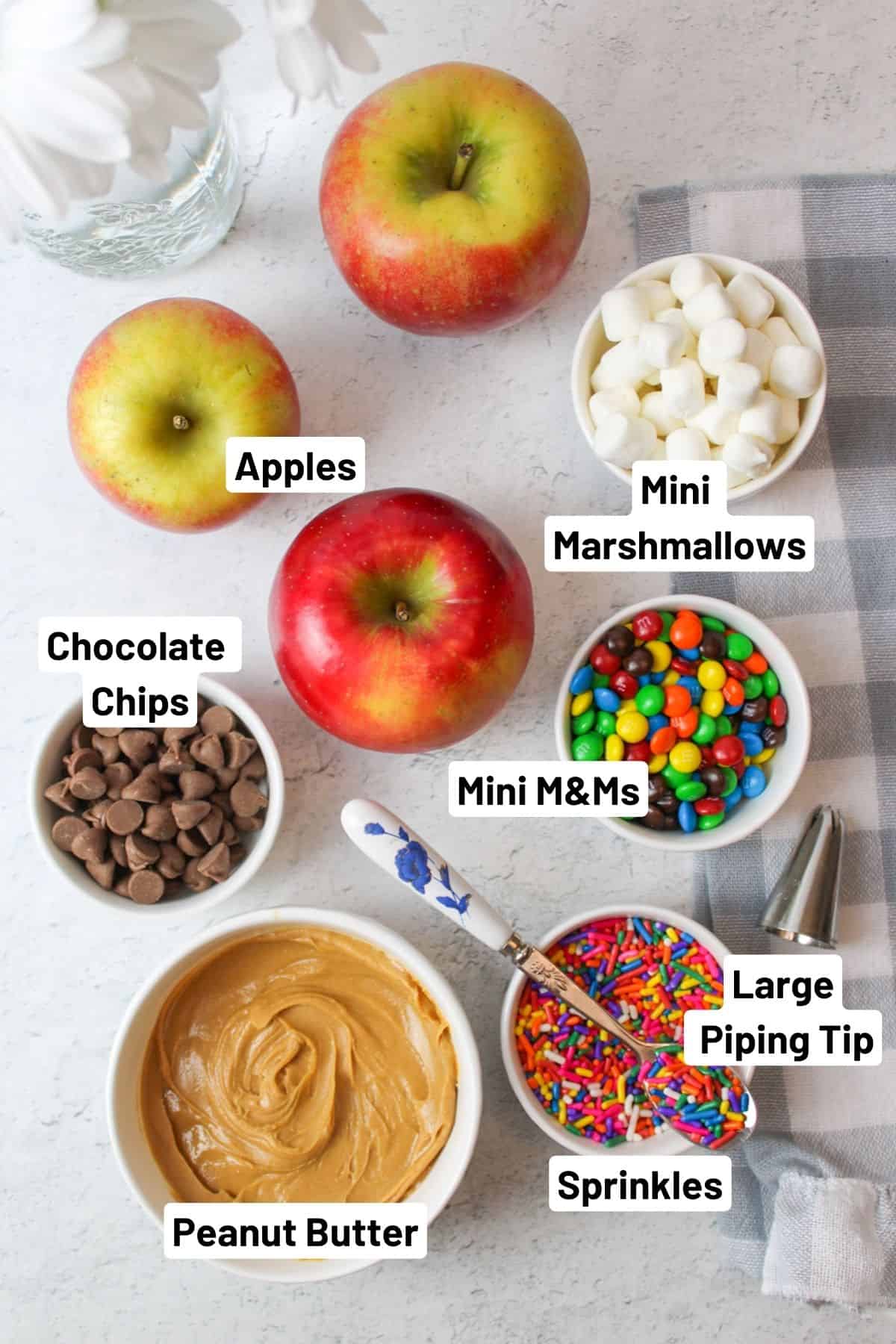 ingredients needed for apple donuts with a frosting tip to the side.