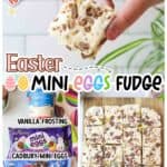 promotional images for Easter Mini Eggs Fudge