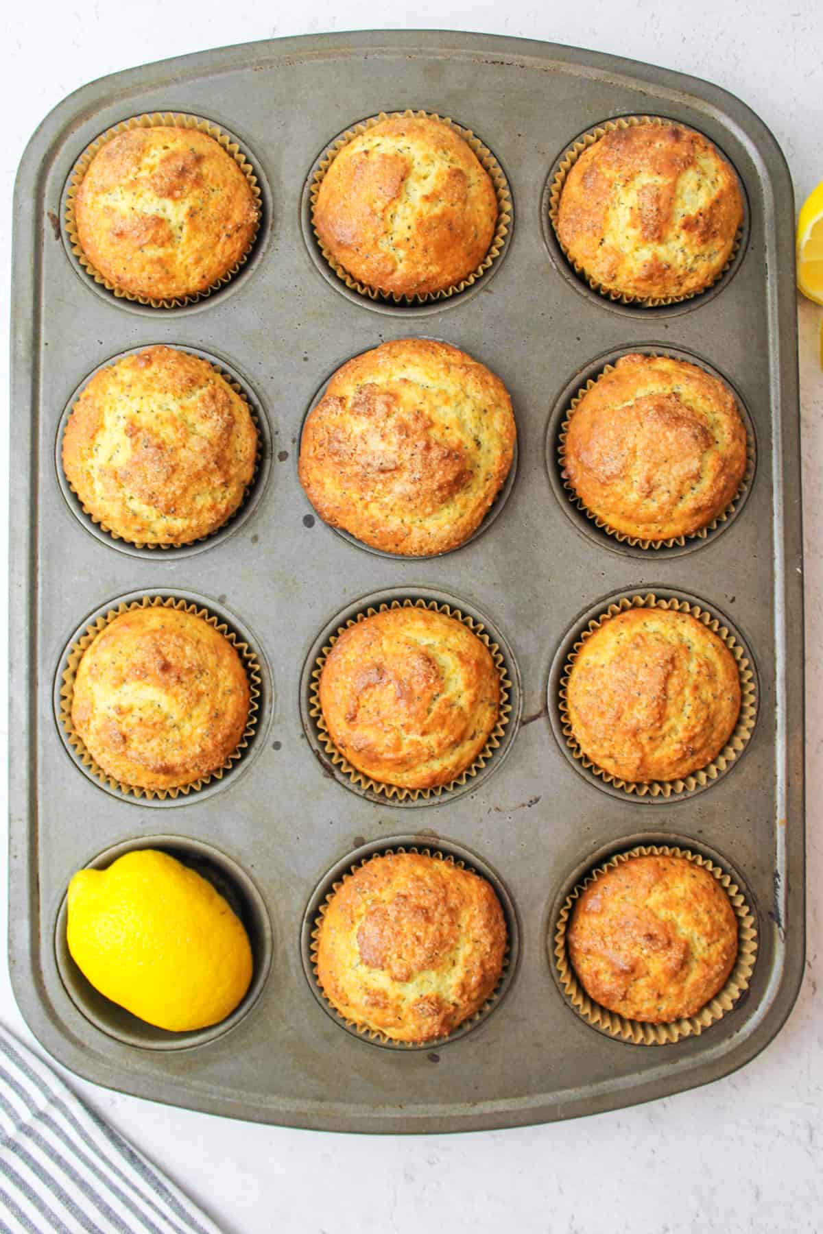 baked lemon poppy seed muffins in a muffin pan with a fresh lemon in one of the muffin spots
