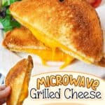 promotional images for Microwave Grilled Cheese