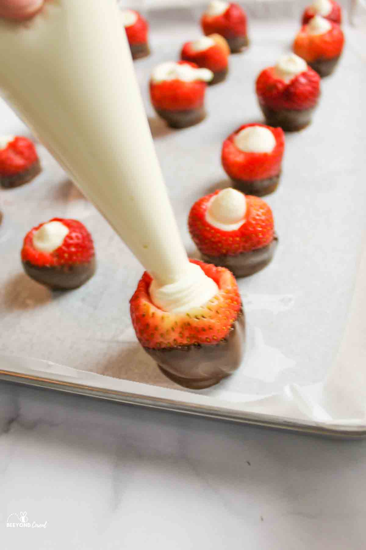 piping the cheesecake filling into the chocolate dipped strawberries.