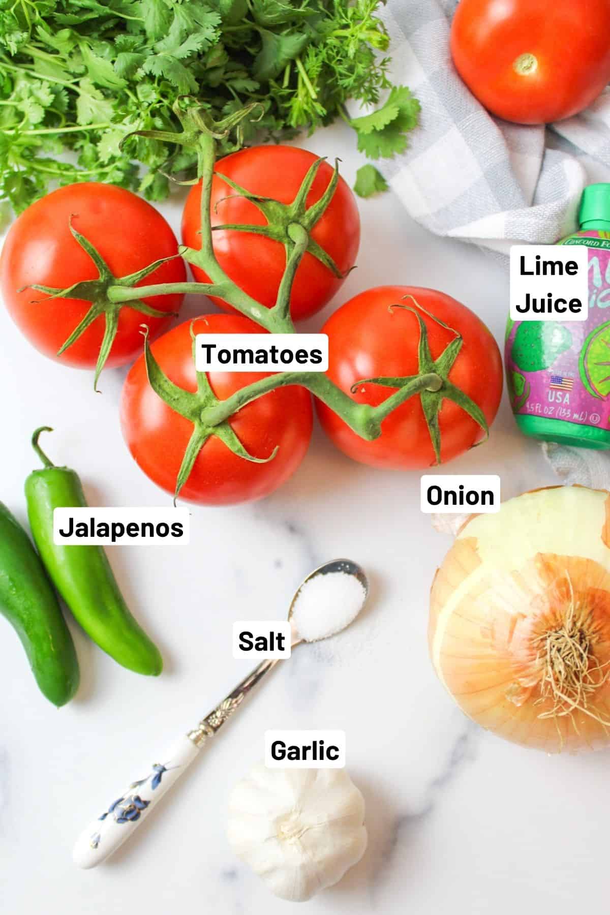 ingredients needed to make jalapeno tomato salsa