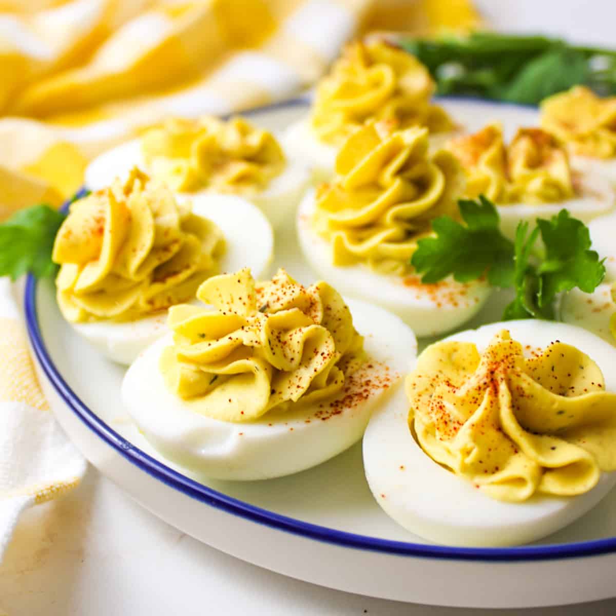 deviled eggs on a blue rimmed white plate.