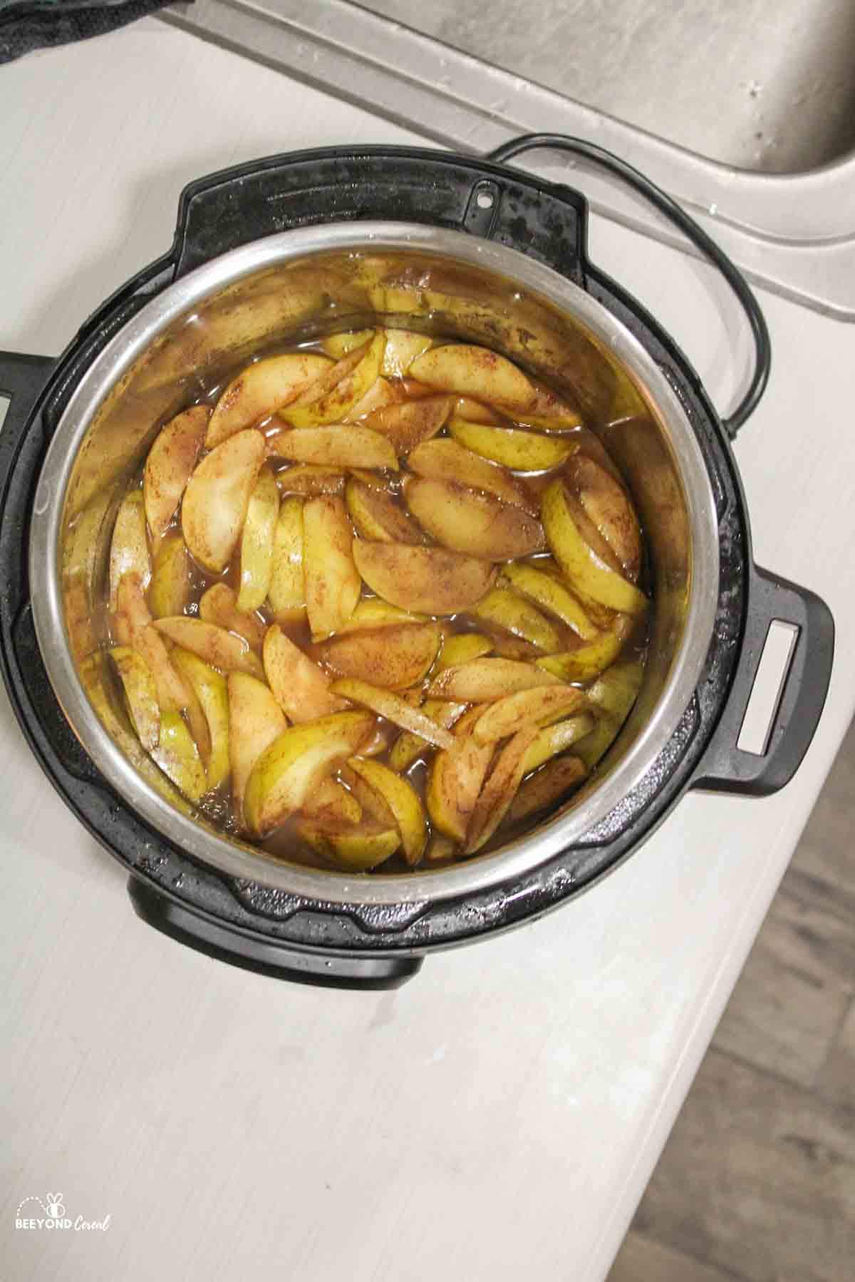 instant pot apple pie filling in instant pot