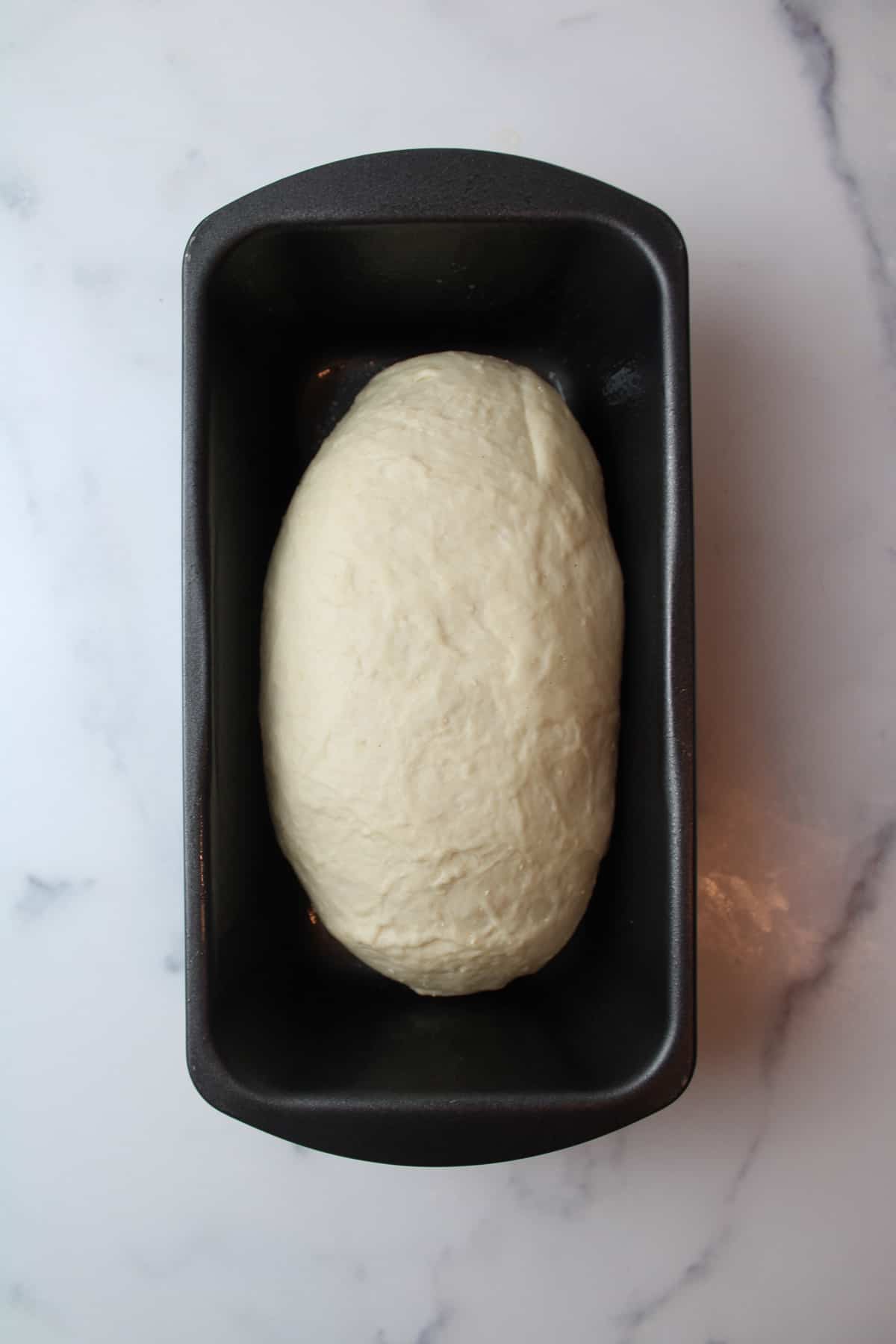 bread loaf pan with dough log inside.