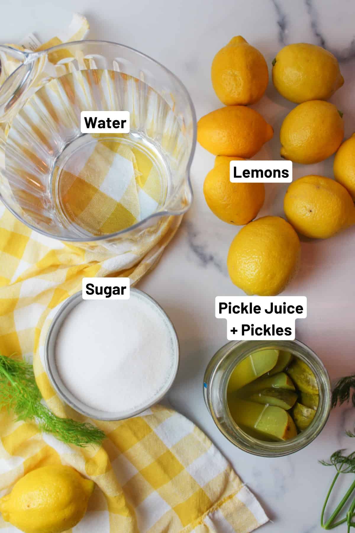 labeled ingredients needed to make dill pickle lemonade.