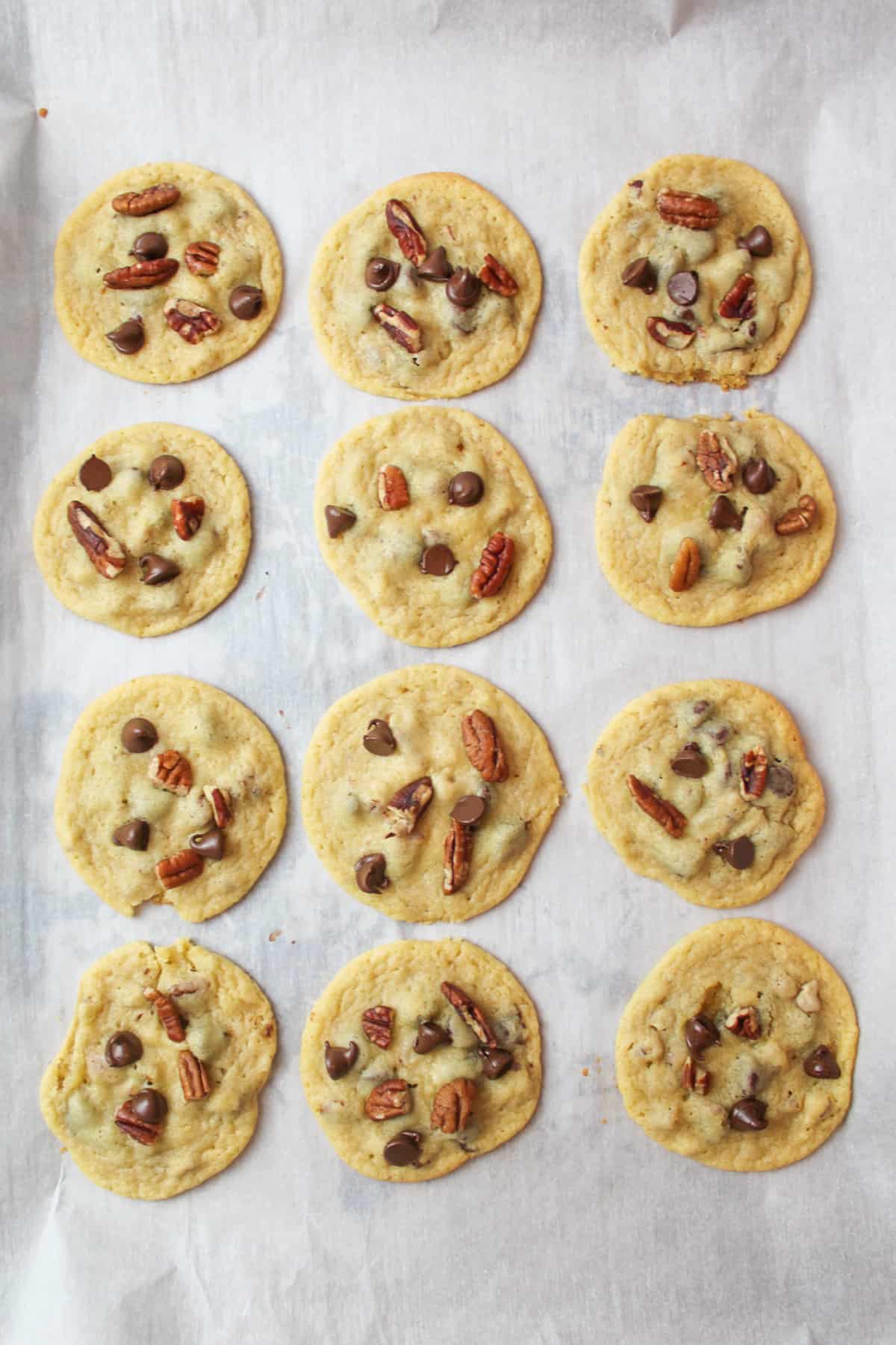 baked chocolate chip pecan cookies on a parchment paper lined baking sheet