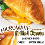 promotional graphic for Microwave Grilled Cheese