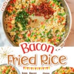 promotional graphic for bacon fried rice