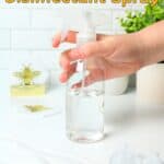 promotional graphic for diy disifectant spray.