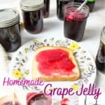 promotional graphic for grape jelly.