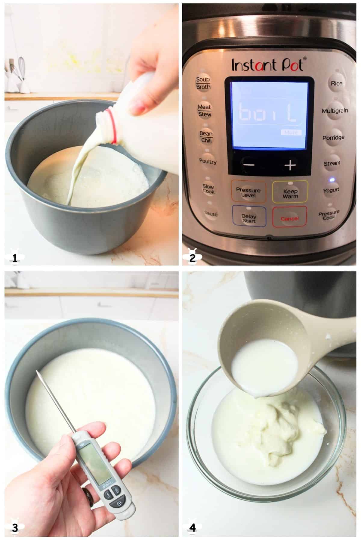 pour milk, boil, check temp and add yogurt cultures.
