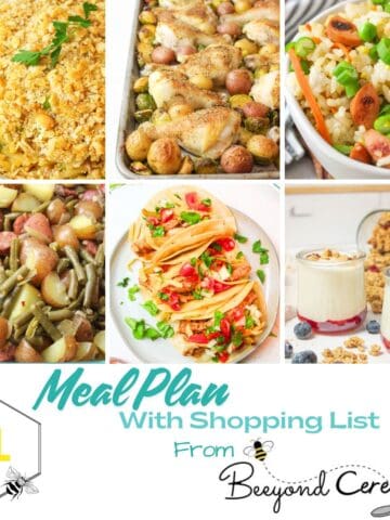 meal plan with shopping list thumbnail.