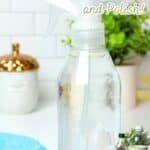 promotional graphic for homemade stainless steel cleaner and polish.