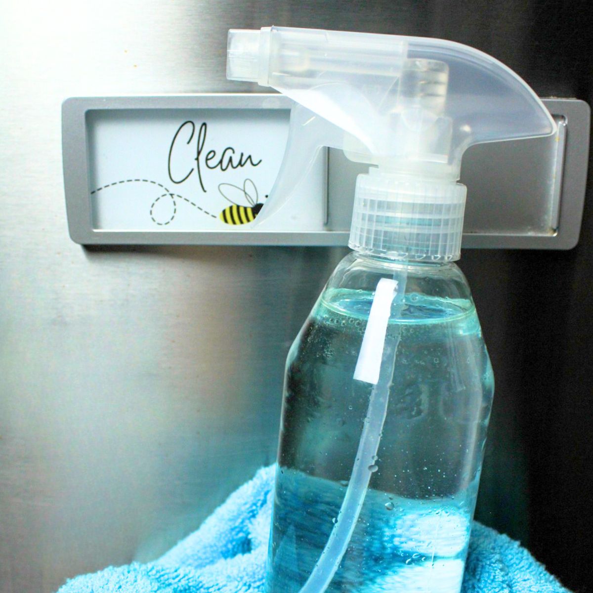 Homemade Stainless Steel Cleaner - BeeyondCereal