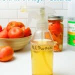 promotional graphic for all purpose citrus cleaner.