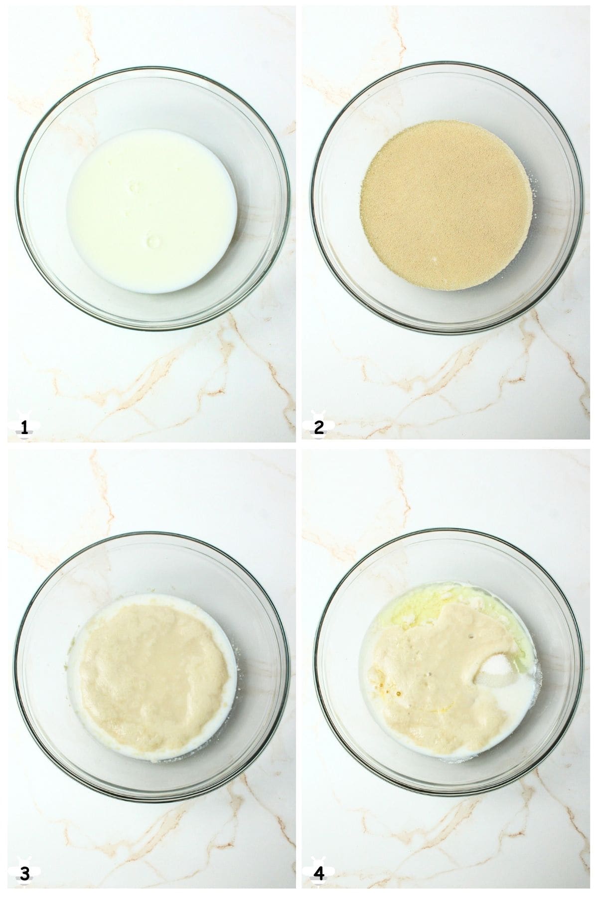 warm milk, proof yeast, add melted shortening.