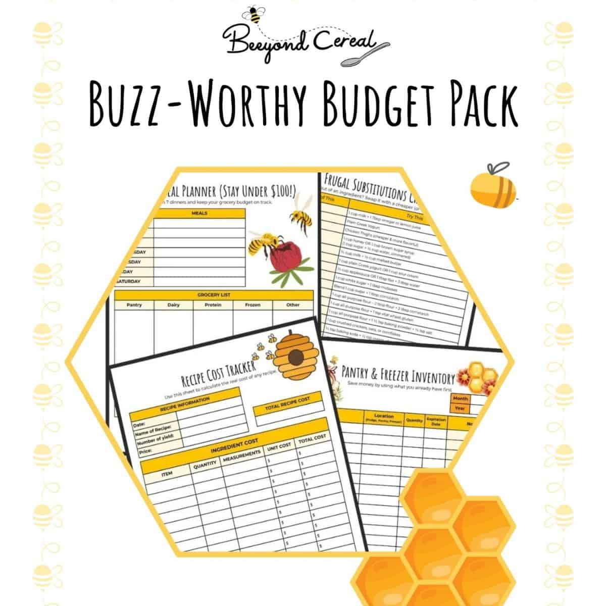 buzz worthy budget pack promotional graphic.