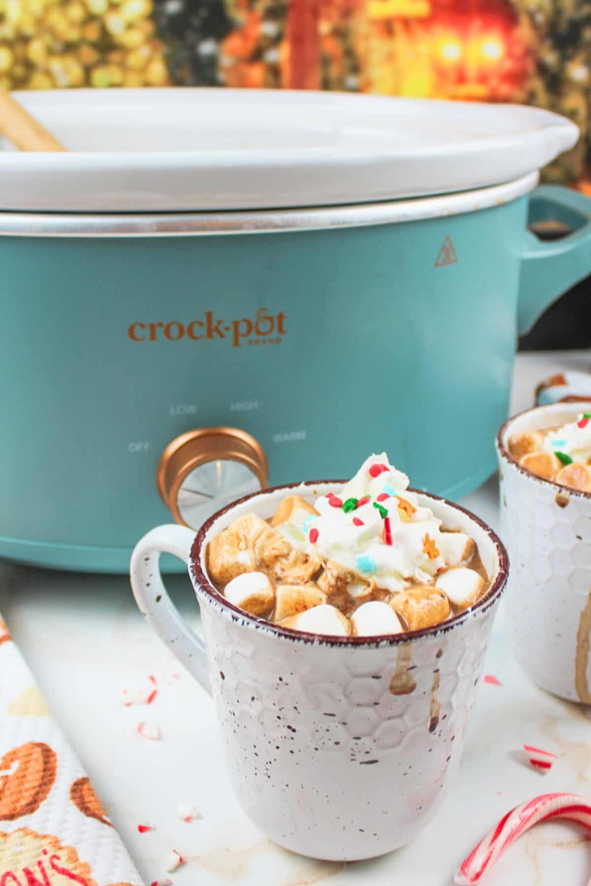 mug of cocoa in front of crockpot and topped with garnishes.