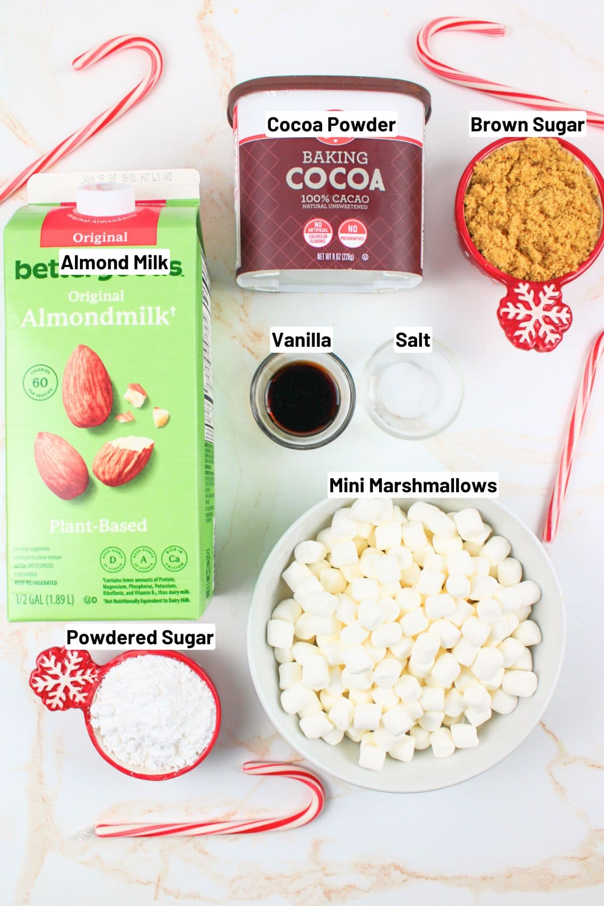 labeled ingredients needed to make crockpot dairy free hot chocolate.