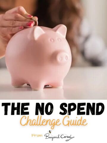 the no spend challenge guide.