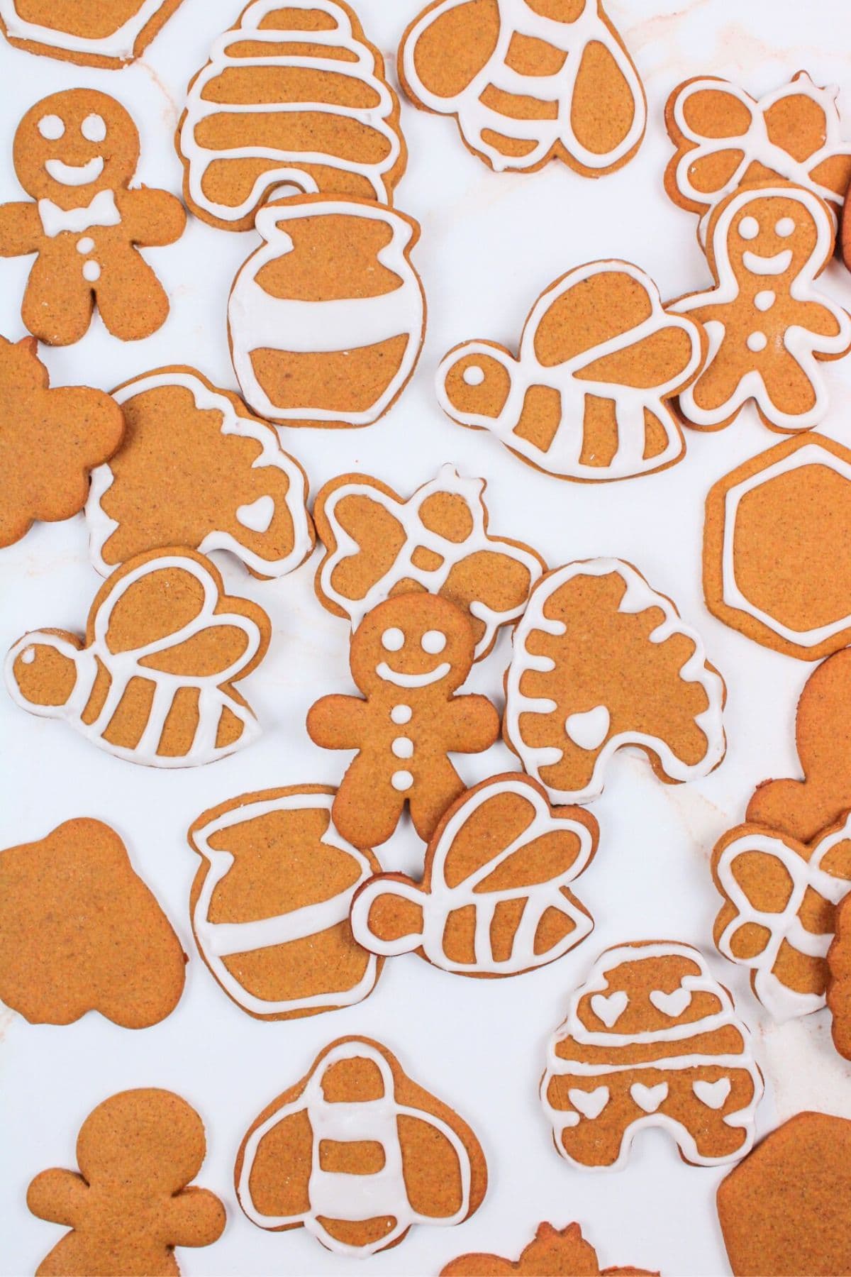 several iced and uniced gingerbread cookies.