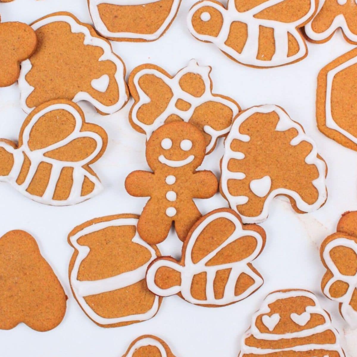iced and decorated gingerbread cookies.