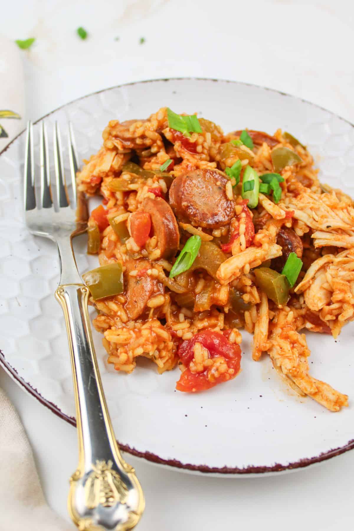 turkey jambalaya on a plate with green onion garnish and a fork.