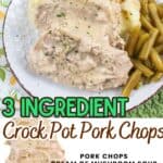 promotional graphic for 3 ingredient pork chops.